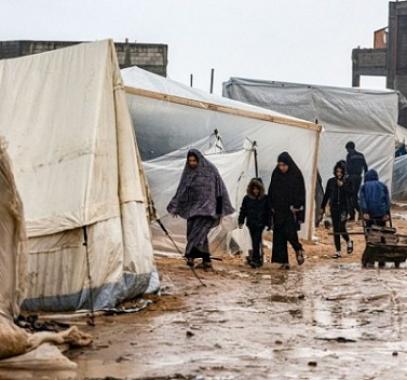 منخفض قطبي غزة