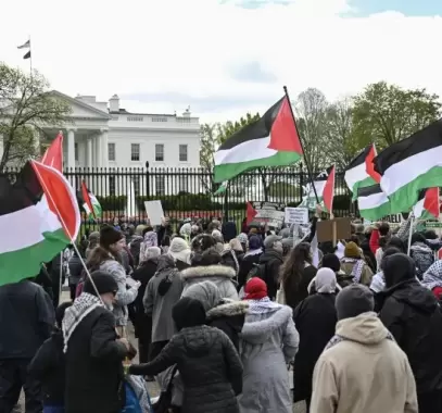 تأييد فلسطين في أمريكا