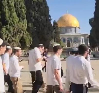 WhatsApp Image 2025-05-26 at 9.21.52 AM.jpeg-c507969b-bb7d-453c-b466-da3bd773ce5b.jpeg