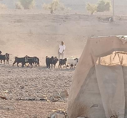 مستوطنون.jpg-7111204b-b365-449e-87ea-d3ad05b25fdb.jpg