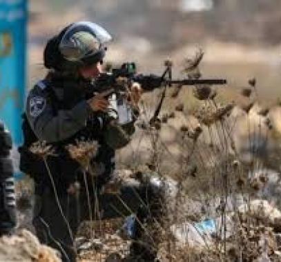 تنزيل (13).jpeg