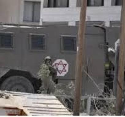 تنزيل (15).jpeg