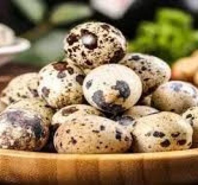 بيض السمان