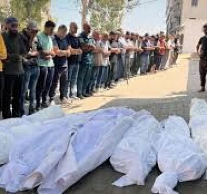 تنزيل (15).jpeg