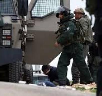 تنزيل (15).jpeg