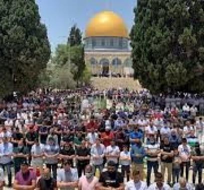 تنزيل (25).jpeg