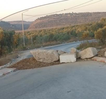 image_123650291 (13).JPG-8eefdedf-a1af-4efa-8ada-c9748fb223d0.jpeg