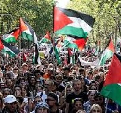 تنزيل (25).jpeg