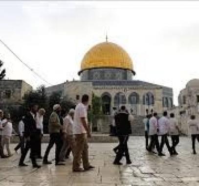 تنزيل (15).jpeg