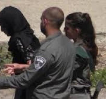 تنزيل (24).jpeg