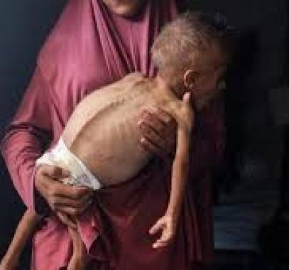 تنزيل (15).jpeg