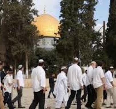 تنزيل (15).jpeg