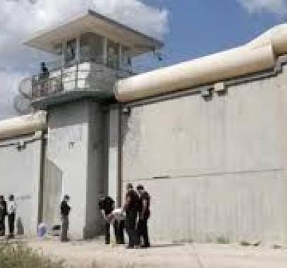 تنزيل (17).jpeg