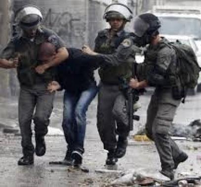 تنزيل (20).jpeg