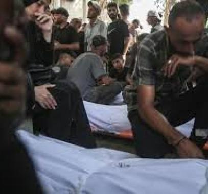 تنزيل (20).jpeg