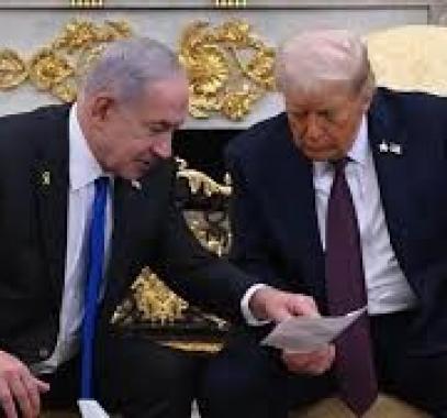 تنزيل (25).jpeg