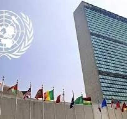 تنزيل (17).jpeg