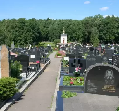 محاولة اغتيال