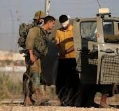 تنزيل (28).jpeg