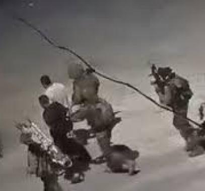 تنزيل (15).jpeg