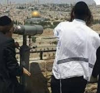 تنزيل (31).jpeg