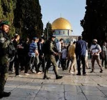 تنزيل (13).jpeg