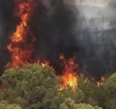 حريق يلتهم غابات إيرانية مُدرجة على قائمة 