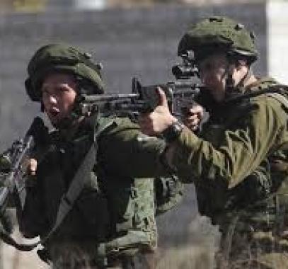 تنزيل (15).jpeg