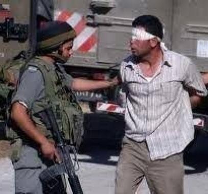 تنزيل (17).jpeg