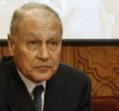 احمد ابو الغيط