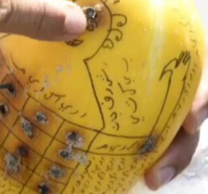 العثور على ثمرة غريبة غُرس فيها المسامير في الإمارت