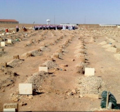 untitled-png-35167263941158455