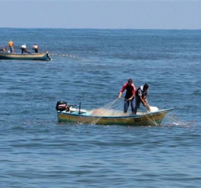 صيادين بحر غزة