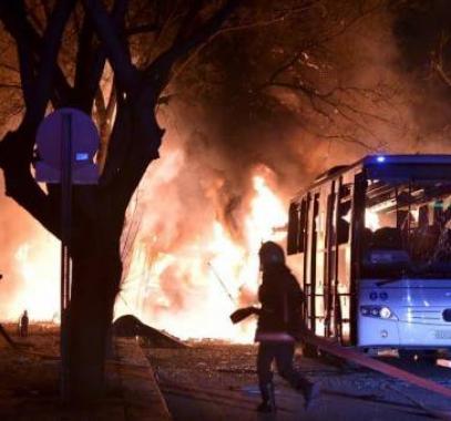 large-983477155738804965