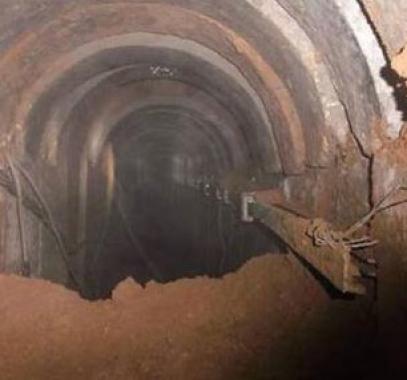 large-2336273070526792930