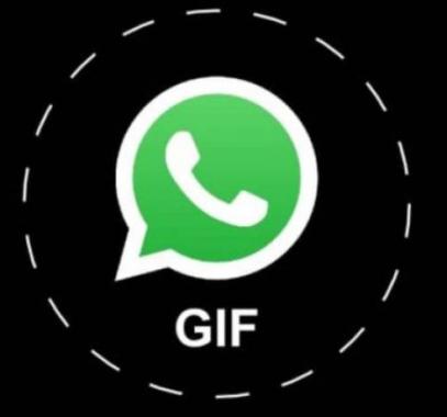 0-jpg-24517064181976505