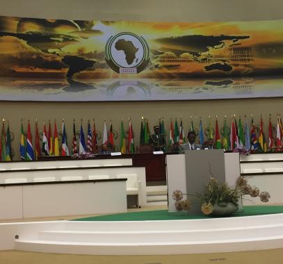 الوكالة الفلسطينية للتعاون الدولي تلتقي وفودا مشاركة في القمة العربية الإفريقية