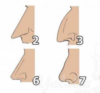 thb-jpg-81865699704137780