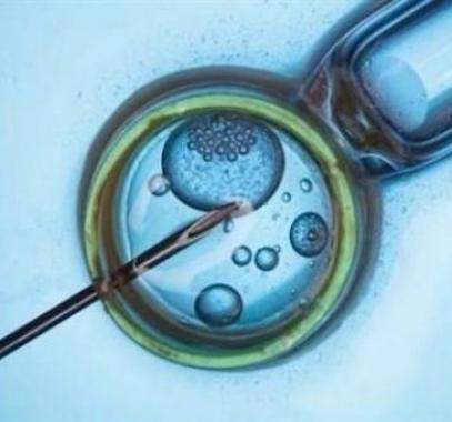 ما تحتاجين معرفته عن تجميد البويضات