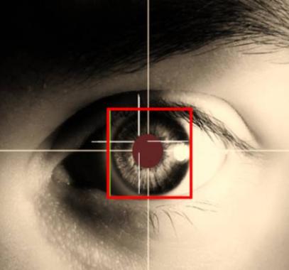 18c27fee72536f9104025debb0ad461eb1f8653c-jpg-8488915372185847