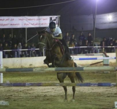 تنزيل (17)