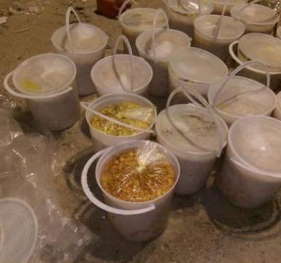 ضبط كمية كبيرة من المخللات التالفة في الخليل