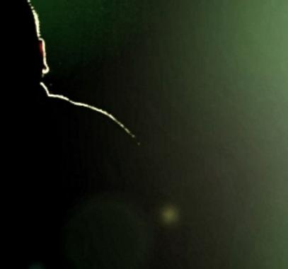 متخابر مع الاحتلال