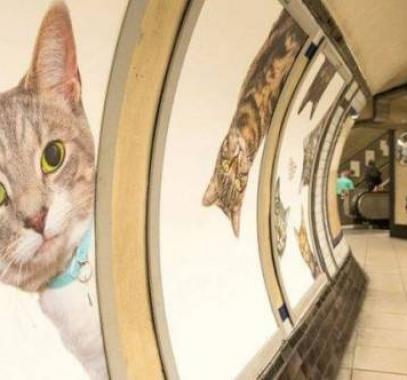 cbafcc097941602aaee50efb01d78d80_853537_large