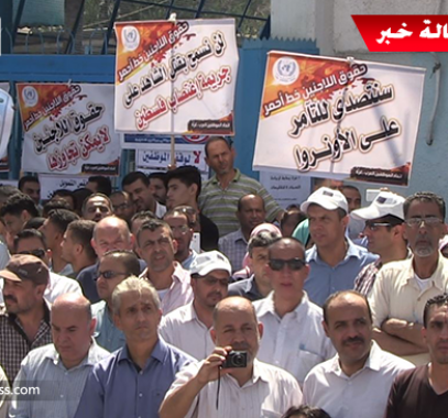 بالفيديو: موظفو 