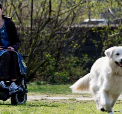 الكرسي المتحرك