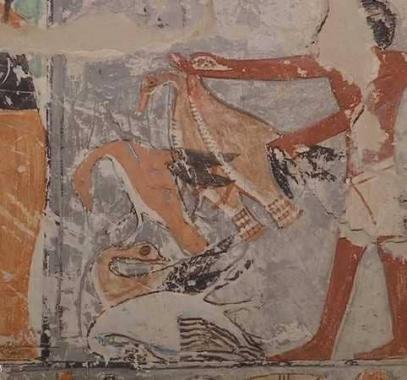 1-1180489.jpg