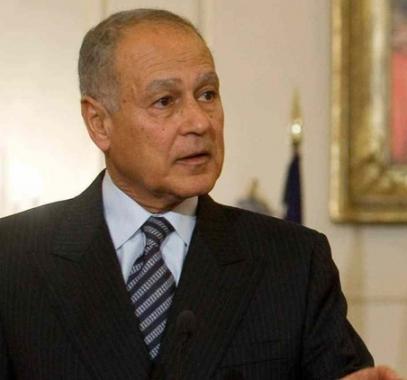 أبو الغيط: المخططات الاستيطانية تقضي على فكرة حل الدولتين