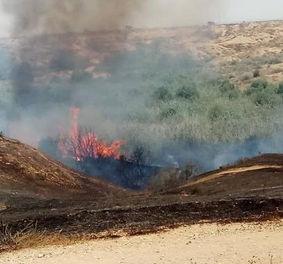 بالفيديو والصور: حرائق بمستوطنات محاذية لـ