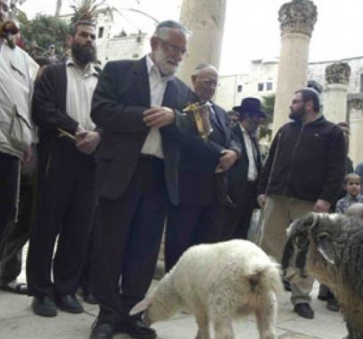 الاحتلال يمنح 